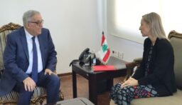 بو حبيب التقى المنسقة الخاصة للأمم المتحدة في لبنان وعدداً من الزوار