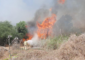 اندلاع حرائق في أراضي عين يبرود جراء قنابل غاز أطلقها العدو الاسرائيلي