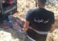 أمن الدولة في بعلبكّ – الهرمل تتلف شاحنتين لبقايا الدجاج وتوقف سائقيهما(بالصور)