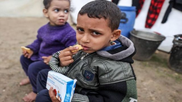 بين الجوع واليتم.. أرقام مرعبة عن أطفال غزة!