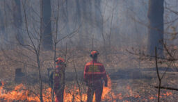 كندا: إجلاء آلاف السكان جراء حرائق الغابات