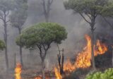 عبدالله حيا عناصر الدفاع المدني على الجهود الجبارة لإطفاء الحرائق المتنقلة في اقليم الخروب