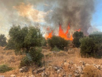القناة 12: حرائق في مستوطنات شمالي إسرائيل إثر سقوط صواريخ لحزب الله ورجال الإطفاء يعملون على إخمادها