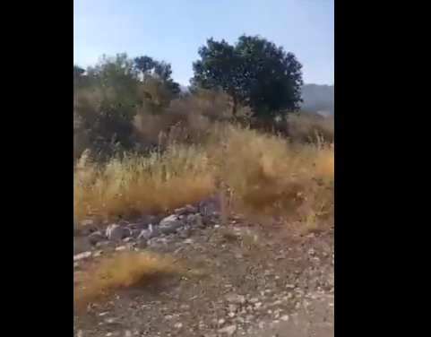 بالفيديو: مدفعية الاحتلال تستهدف محيط عمل فريق الإطفاء أثناء إخمادهم النيران المندلعة في أطراف بلدة كفرشوبا