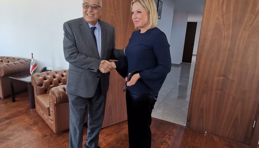 بو حبيب بحث مع بلاسخارت في التصعيد الاسرائيلي الخطير بعد إستهداف الضاحية الجنوبية