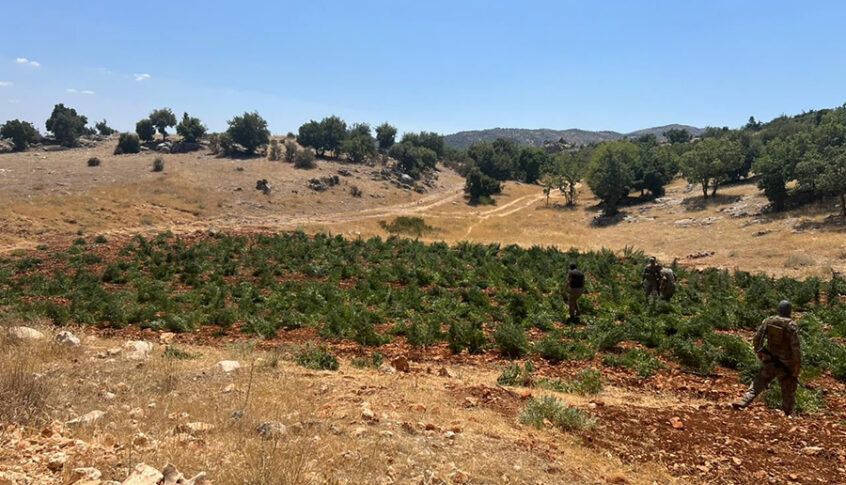 الجيش: توقيف 4 أشخاص في منطقة بدارو وعند مدخل مخيم نهر البارد وبلدة طاريا(بالصور)