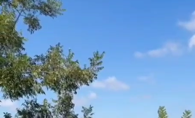 بالفيديو: لحظة سقوط صواريخ شمال فلسطين المحتلة عقب إطلاق صلية صاروخية من لبنان