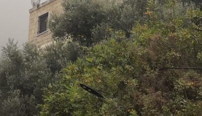 بالفيديو والصور: العدو يستهدف منزلا في ايطو