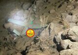 سقوط مسيرة معادية في أحراج بلدة التليل في عكار