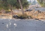 بالصور: شهيد بالغارة التي استهدفت دراجة نارية في بلدة القرعون