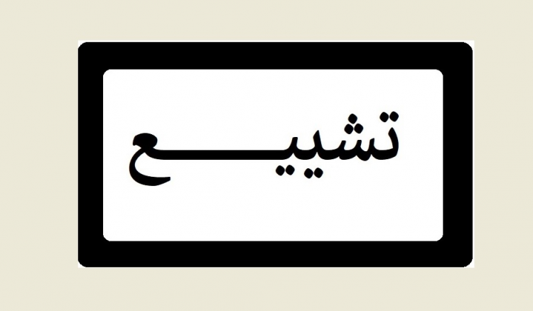 قرى الجنوب شيعت شهداءها وووريت جثامينهم في ثرى بلداتهم