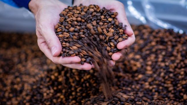 أسعار القهوة تحطم الأرقام القياسية