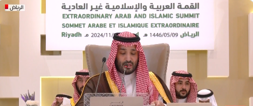 محمد بن سلمان: السعودية ترفض الاعتداءات الإسرائيلية على لبنان وتؤكد تضامنها معه