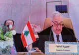بو حبيب: لبنان وسوريا بحاجة لخطة عربية مشتركة كخطة مارشال لنهوضهما