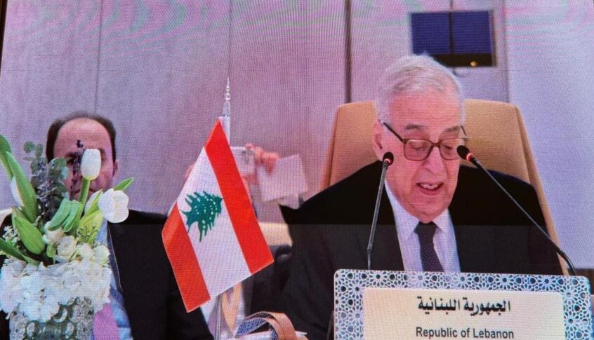 بو حبيب: لبنان وسوريا بحاجة لخطة عربية مشتركة كخطة مارشال لنهوضهما