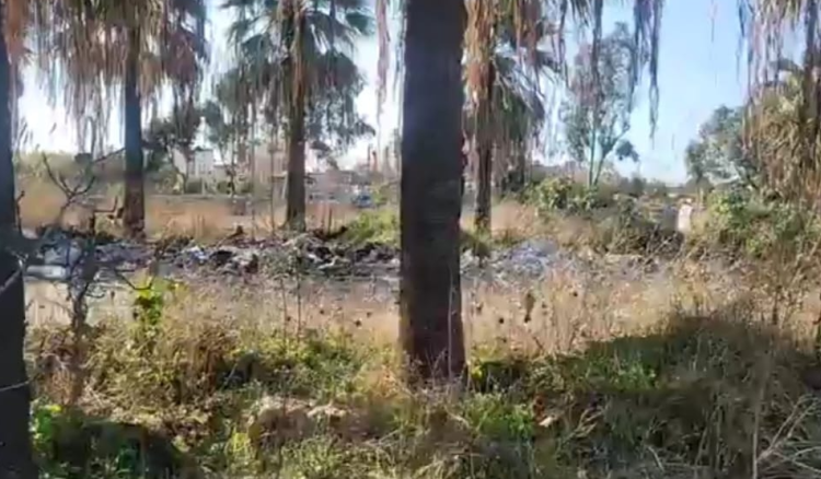 الجيش: تمارين تدريبية في حقل رماية العاقورة غدا وبعده