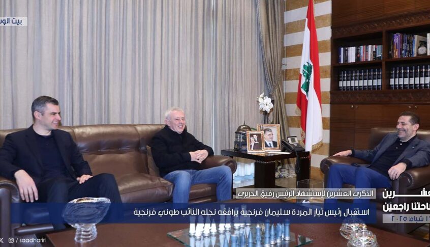 الحريري بحث مع فرنجيه في التطورات السياسية في البلاد
