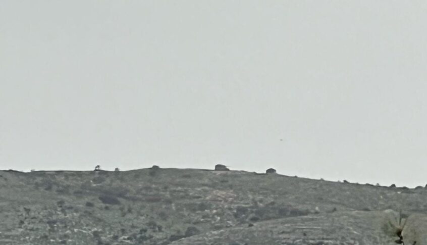 عملية تجريف في جبل الباط لجرافة اسرائيلية(بالصورة)