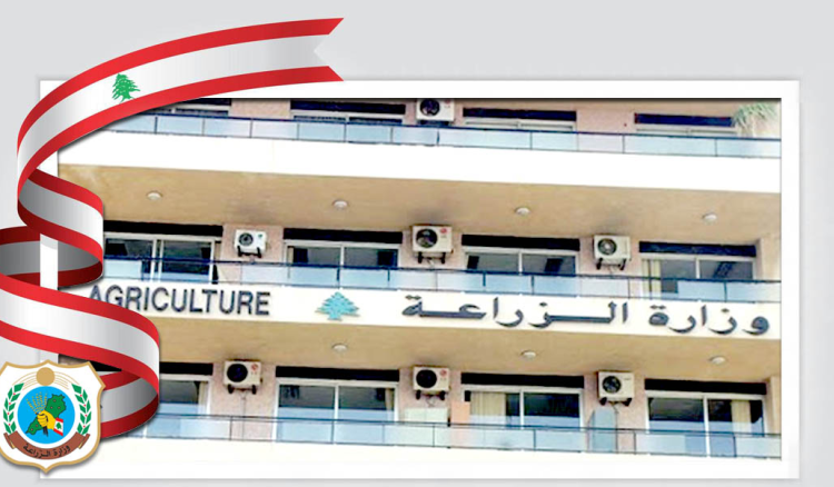 مكتب وزير الزراعة: مرض “نيوكاسل” لا يشكل خطرًا على صحة الإنسان