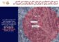 تحذير عاجل لأهالي بلدة تول الجنوبية