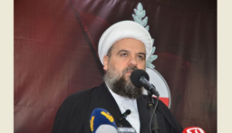 المفتي قبلان : مقياس الوطنية سيادة لبنان لا العراضات السخيفة