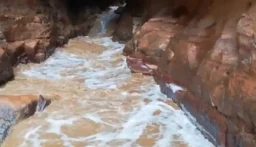 وفاة سائحة وابنها في سيول الأردن