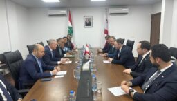 رجي التقى لجنة العلاقات الخارجية في برلمان جورجيا: لممارسة الضغوط على اسرائيل لدفعها الى الانسحاب من كل الأراضي اللبنانية