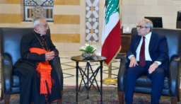 رئيس الحكومة بحث مع ميناسيان أوضاع الطائفة الأرمنية