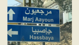 التيار الكهربائي عاد إلى مرجعيون وحاصبيا