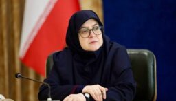 مهاجراني: القوة الدفاعية الإيرانية هيكل قائم على القدرات الوطنية والمحلية