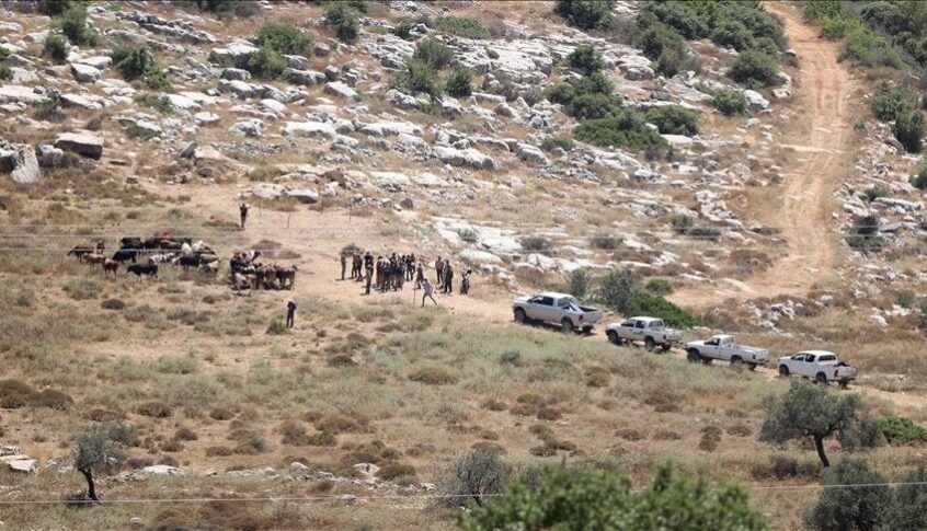 مستوطنون إسرائيليون يقيمون بؤرة استيطان شمال الضفة الغربية