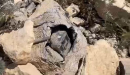بالصور-الجيش يفكك جهاز تجسس للعدو الإسرائيلي في خراج بلدة يارون- بنت جبيل