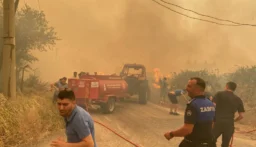 الطوارئ السورية: السيطرة على معظم حرائق اللاذقية ولا خسائر بشرية حتى الآن