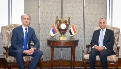 عبدالعاطي يحذّر من خطورة الانزلاق نحو الفوضى