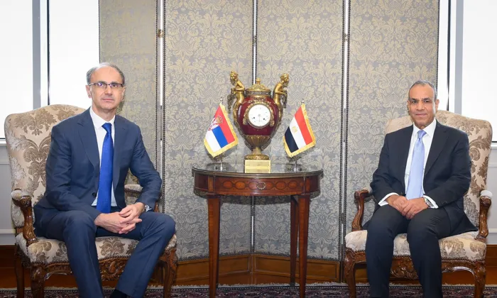 عبدالعاطي يحذّر من خطورة الانزلاق نحو الفوضى