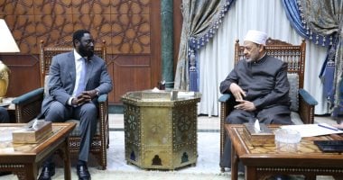 شيخ الأزهر: الشعب الفلسطيني يتعرّض لأسوأ إبادة جماعية وسط ضعف أممي غير مسبوق