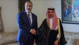 فيدان ونظيره السعودي يبحثان الوضع في غزة ومساعي وقف النار