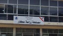 مصلحة زراعة عكار حذرت من قطع الأشجار وبيع الحطب