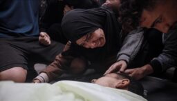 114 منظمة دولية تطالب الاتحاد الأوروبي بتعليق الشراكة مع إسرائيل