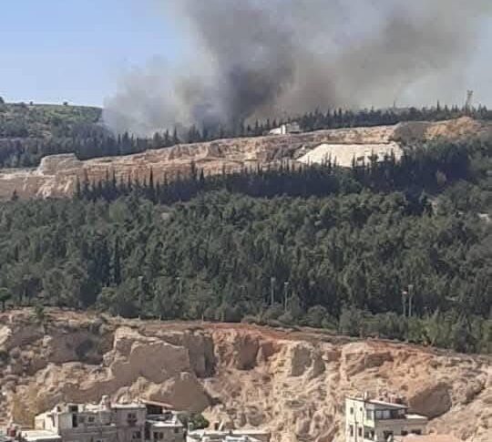 حريق كبير وتصاعد أعمدة الدخان في المنطقة المحيطة بقصر الشعب في دمشق