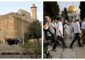 محافظة القدس تحذّر من برنامج لـ “جماعات الهيكل المزعوم” ضدّ الأقصى على مدار شهر كامل