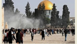 مستعمرون اقتحموا المسجد الأقصى (صورة)