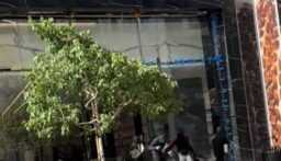 سرقة تعاونية على أوتوستراد حبوش الدولي والخسائر تُقدَّر بنحو خمسة الاف دولار!