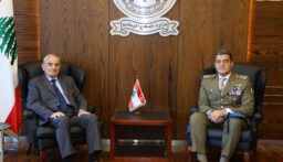 وزير الدفاع التقى القائد الجديد لليونيفيل ووفدًا فرنسيًّا: ضرورة التمديد لولاية اليونيفيل