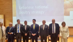 نقابة الدواجن أطلقت “الاستراتيجية الوطنية للقطاع” وكلمات حددت متطلبات تطوير القطاع وزيادة حجمه وترسيخ دوره في الأمن الغذائي