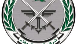 وزير الدفاع ينفي هذه المزاعم: التنسيق يحصل حصرًا بين لبنان والدول الأعضاء في اللجنة الخماسية