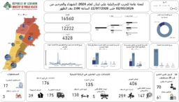 الحصيلة الإجمالية للعدوان: 4328 شهيدا و 12232 جريحا
