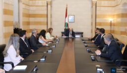 وفد من نقابة مصانع الأدوية أطلع رئيس الحكومة على واقع صناعة الدواء في لبنان