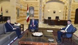 سلام تناول مع محافظ جبل لبنان الإجراءات المتخذة لمعالجة مخاطر تجمع الطيور في محيط مطار