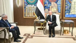 العليمي: أمن باب المندب ليس شأناً يمنياً فقط